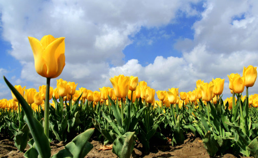 731775 (a): :2560x1564